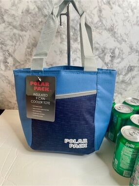 polar Pack Gray and Blue Insulated 8, Can Cooler Tote
The price is for one bag